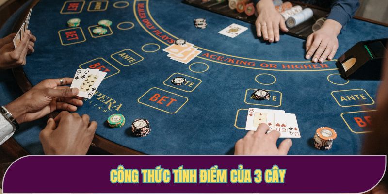 Công thức tính điểm của 3 cây